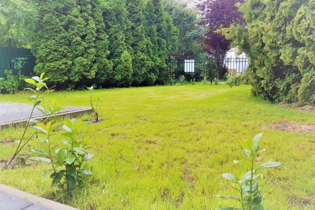 Ferienhaus Ellie Haffkrug Exterior foto